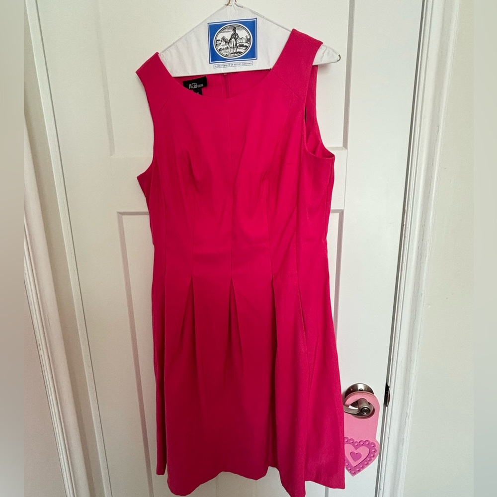 Hot Pink Dress with Zipper. Women’s size large.